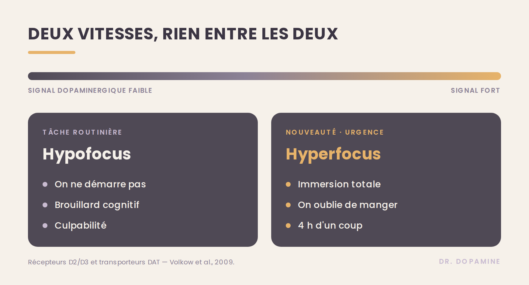 Comment pense un TDAH adulte ? Ce qui se passe vraiment dans notre cerveau 🧠